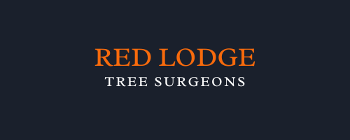 Red Lodge Tree Surgeons